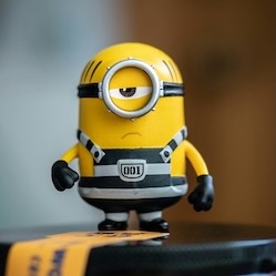 profile-pic-minion
